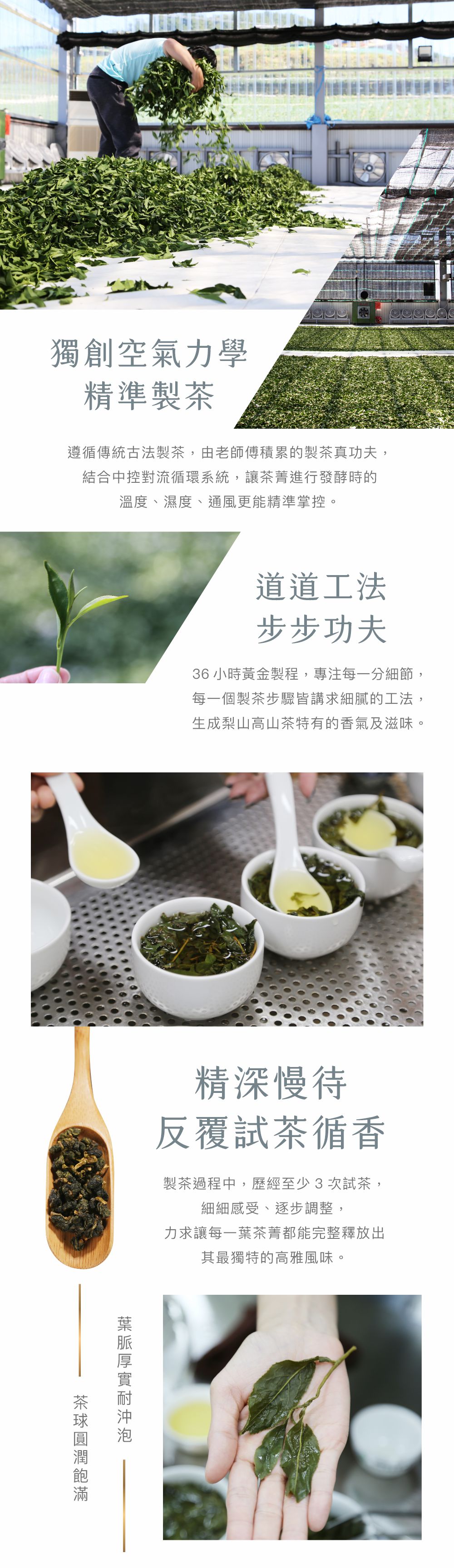 茶葉共用2-1000 茶葉共用2-1000