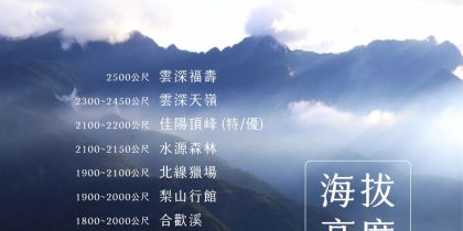 茶葉-雲深溪月2-1000